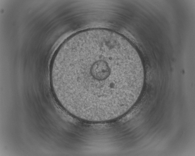 X0000072550836200607211357