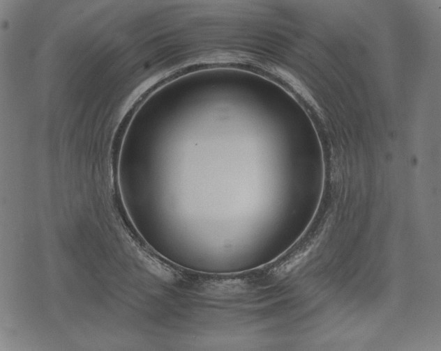 X0000072550837200607211357