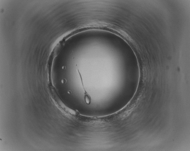 X0000072550838200607211357