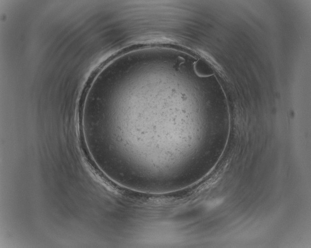 X0000072550840200607211357