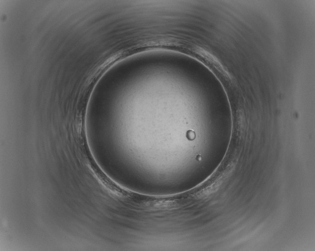 X0000072550841200607211357