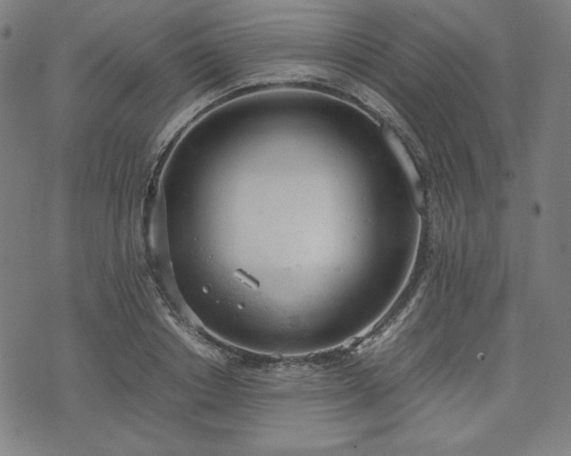 X0000072550842200607211357