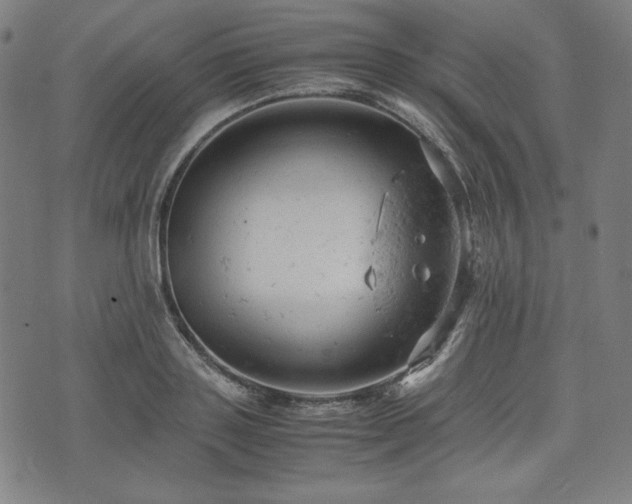 X0000072550843200607211357