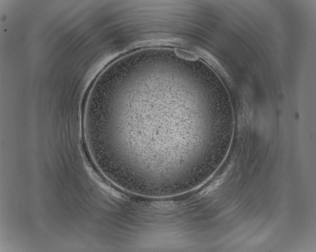 X0000072550844200607211357