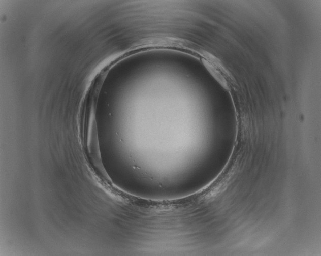 X0000072550846200607211357