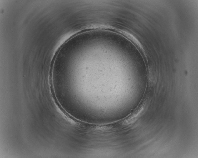 X0000072550847200607211357