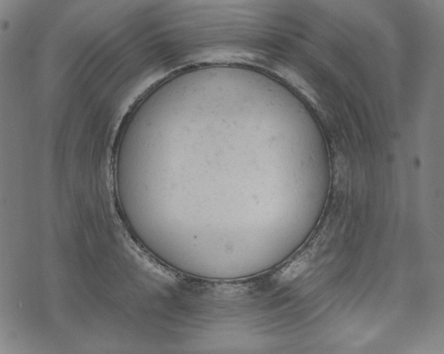 X0000072550848200607211357