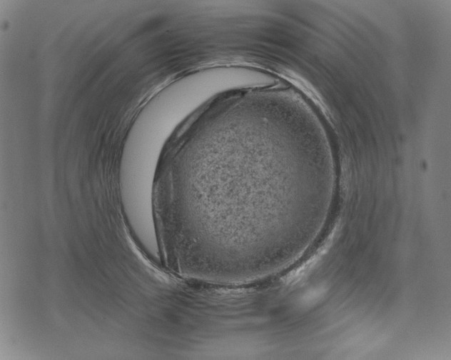 X0000072550849200607211357