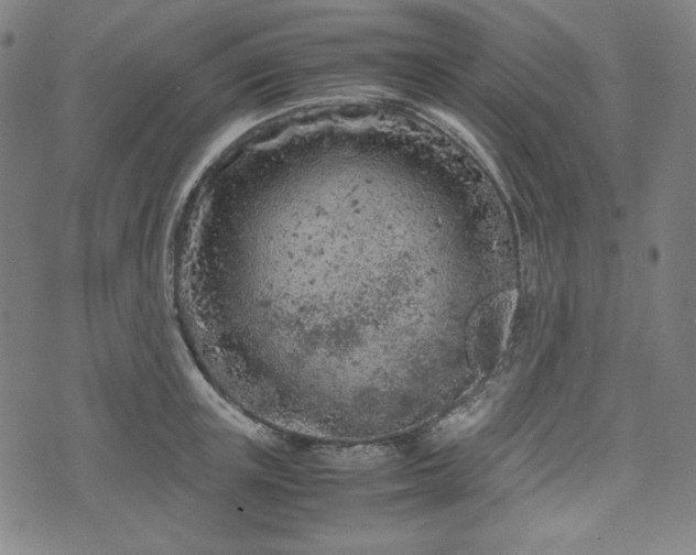 X0000072550851200607211357