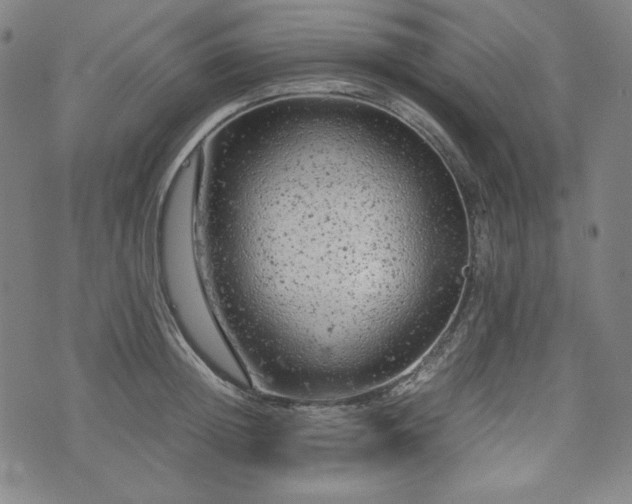 X0000072550852200607211357