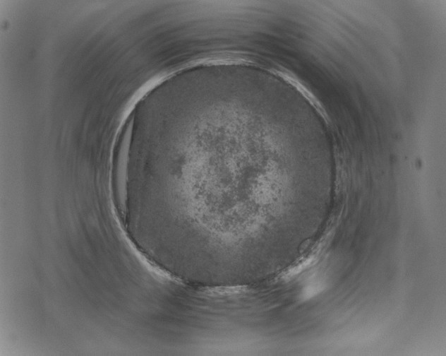 X0000072550853200607211357