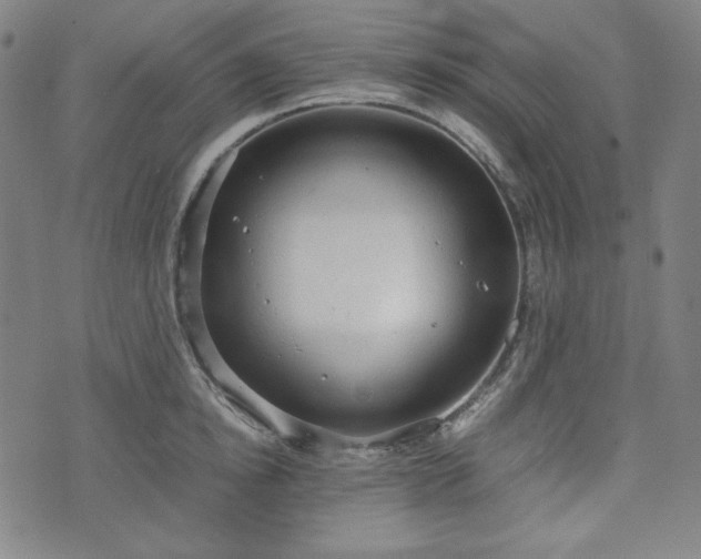 X0000072550854200607211357