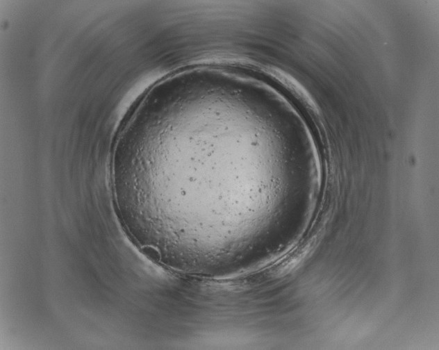 X0000072550855200607211357