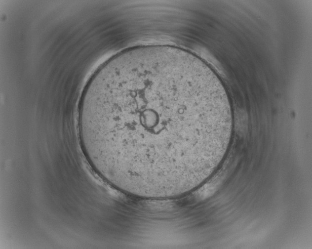 X0000072550856200607211357