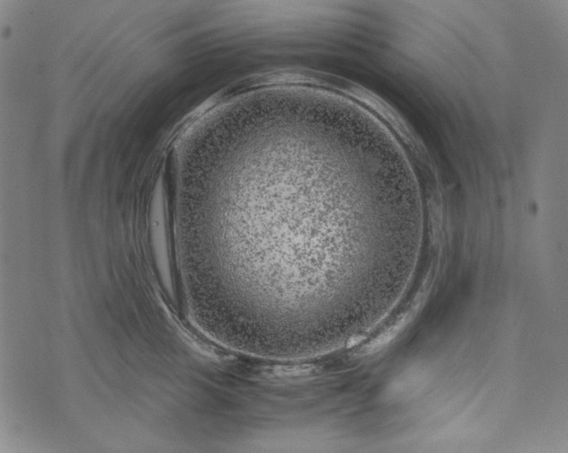 X0000072550857200607211357