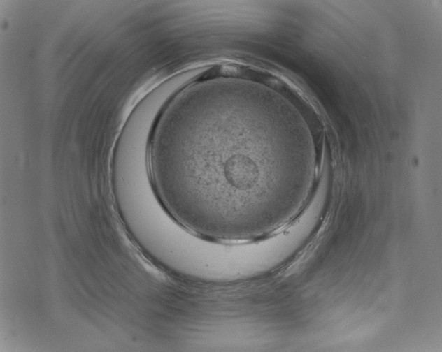 X0000072550858200607211357