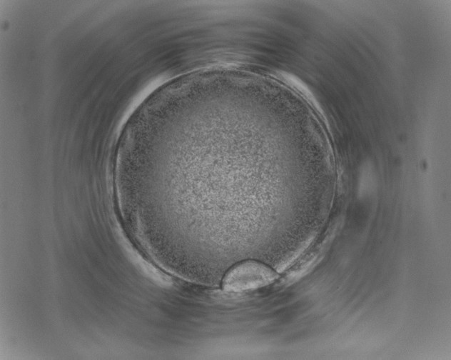 X0000072550859200607211357