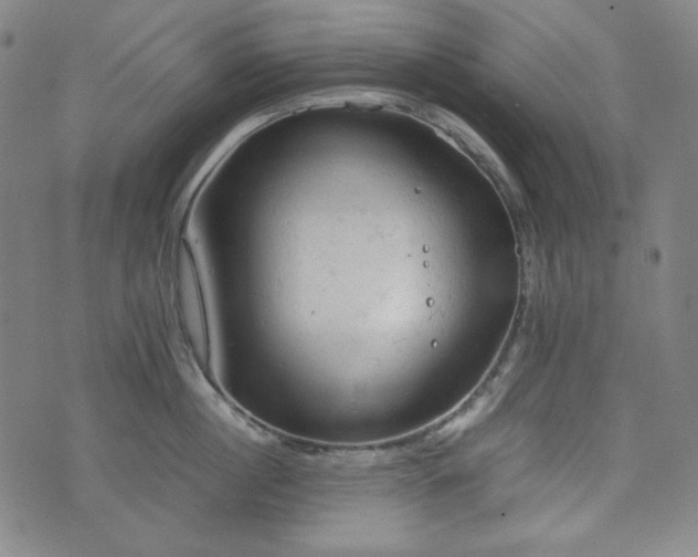 X0000072550860200607211357