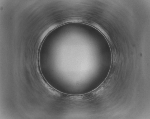 X0000072550861200607211357