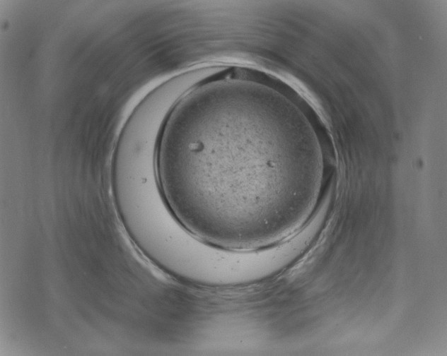 X0000072550862200607211357