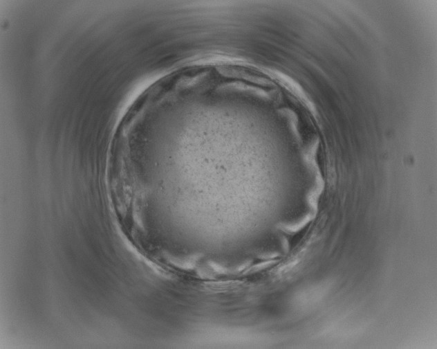 X0000072550863200607211357