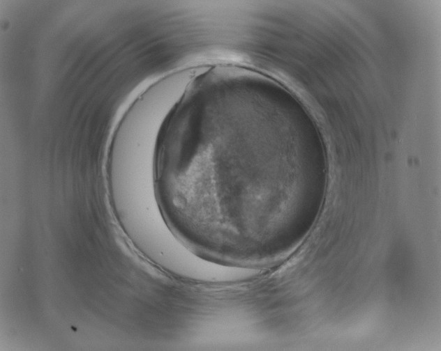 X0000072550864200607211357