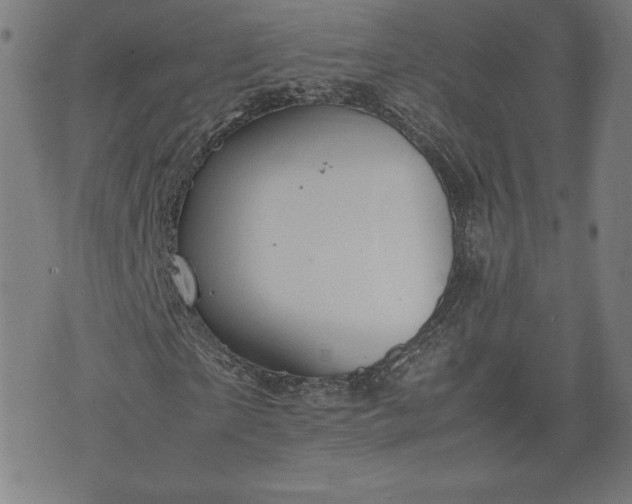 X0000072550865200607211357