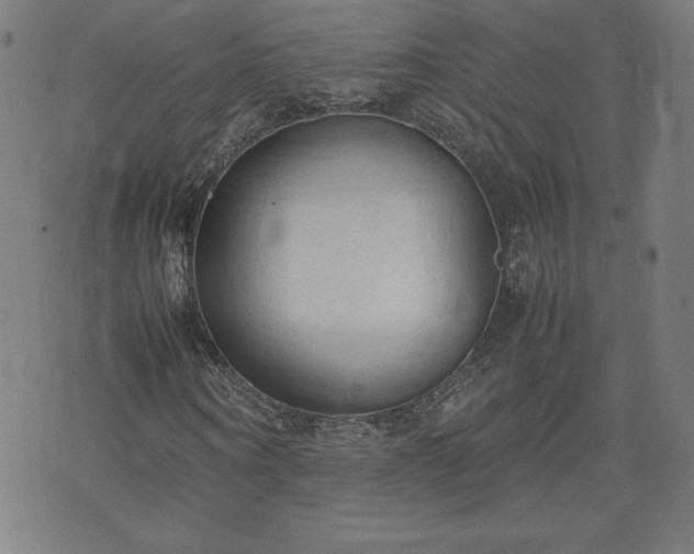 X0000072550866200607211357