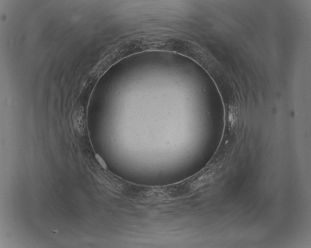 X0000072550867200607211357