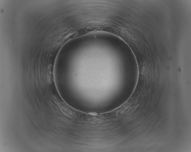 X0000072550868200607211356