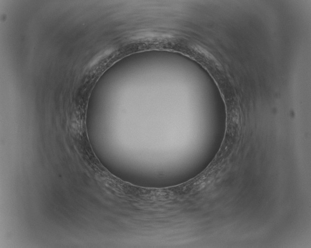 X0000072550869200607211356