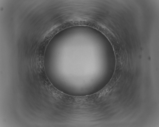 X0000072550870200607211356