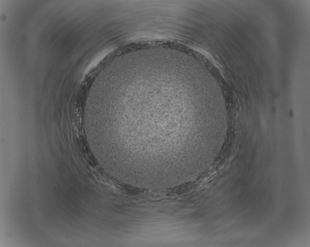 X0000072550871200607211356