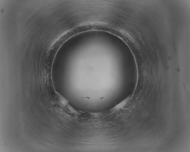 X0000072550872200607211356