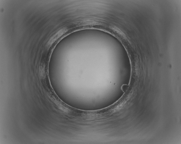 X0000072550873200607211356