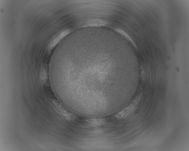 X0000072550874200607211356