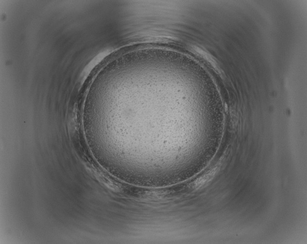 X0000072550875200607211356