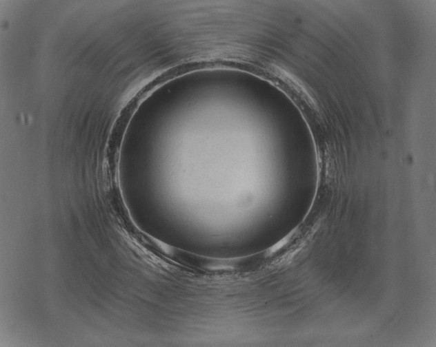 X0000072550876200607211356