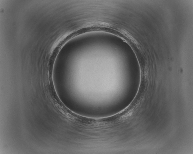 X0000072550877200607211356