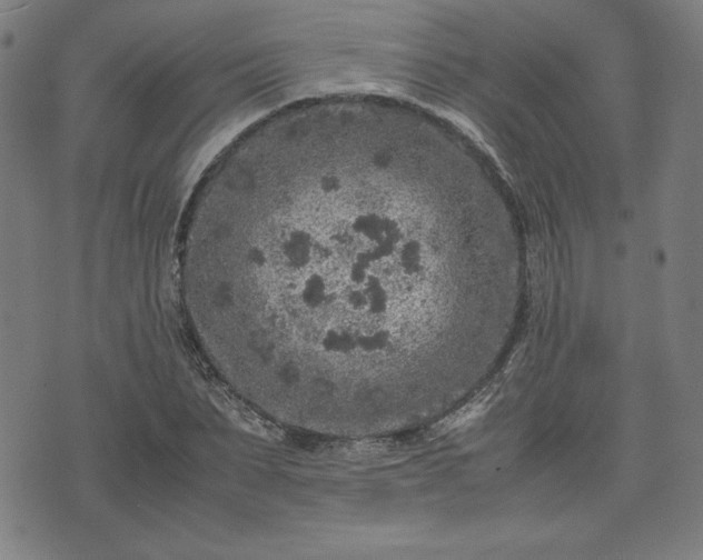 X0000072550879200607211356