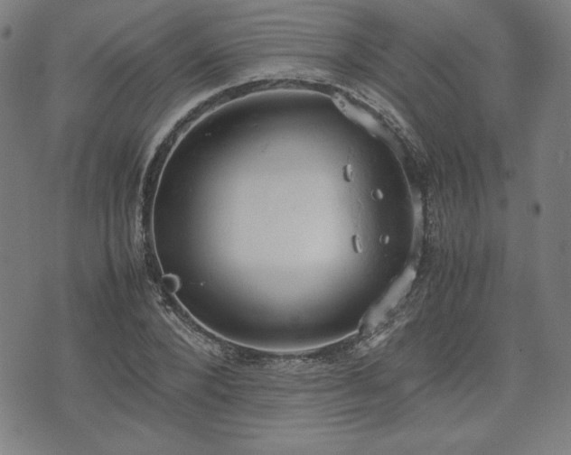 X0000072550880200607211356