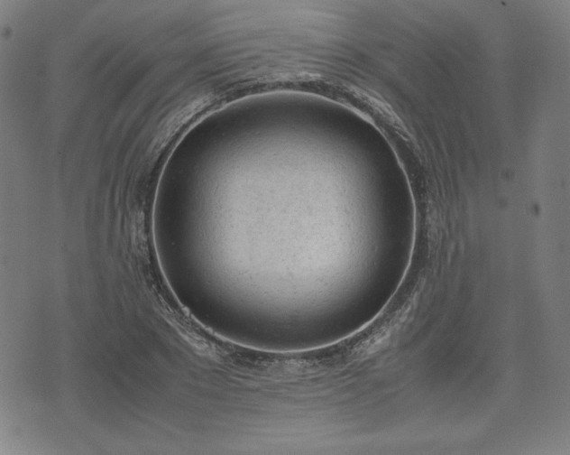 X0000072550881200607211356