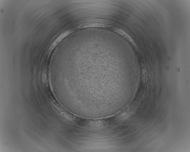 X0000072550882200607211356