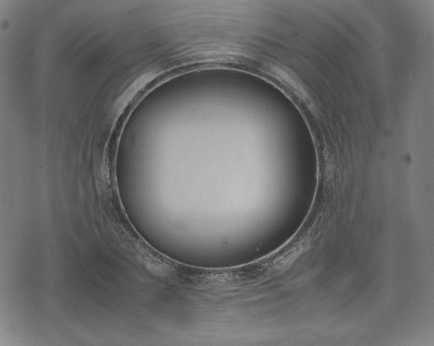 X0000072550883200607211356