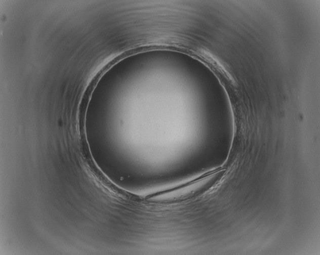 X0000072550884200607211356