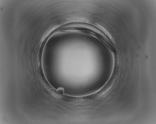 X0000072550885200607211356