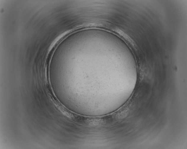 X0000072550886200607211356