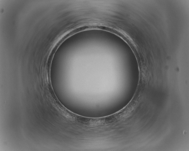 X0000072550887200607211356