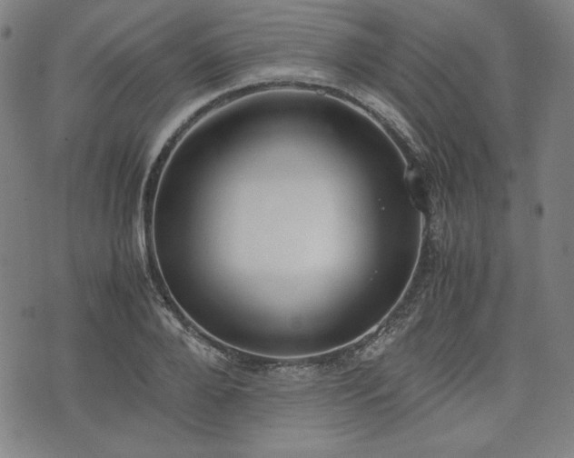 X0000072550888200607211356