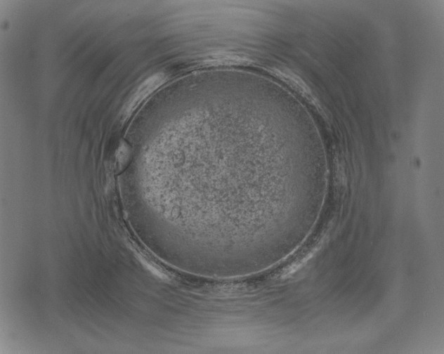 X0000072550889200607211356